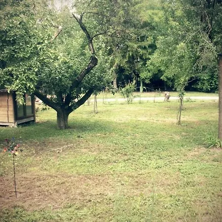 아파트 Im Gruenen *