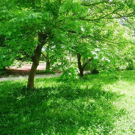 Im Gruenen 거튼하임