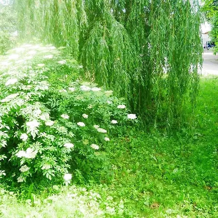 Im Gruenen * Gottenheim