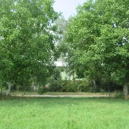 아파트 Im Gruenen 거튼하임